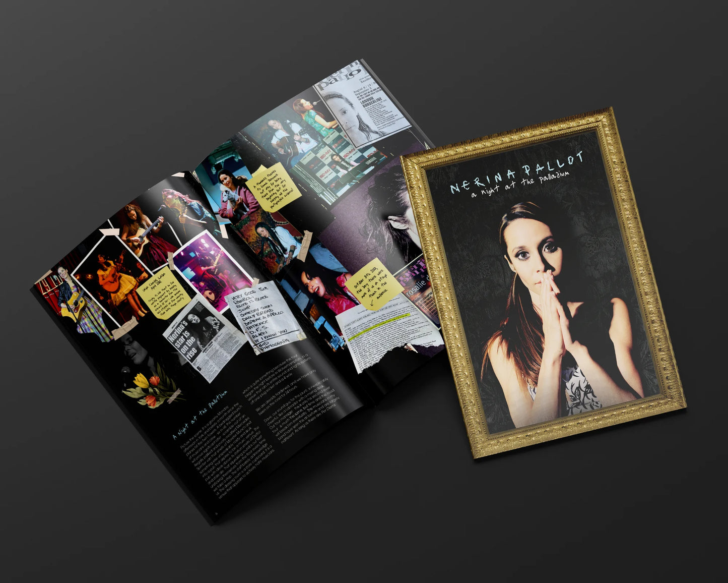 Nerina Pallot 'A Night At The Palladium' programme